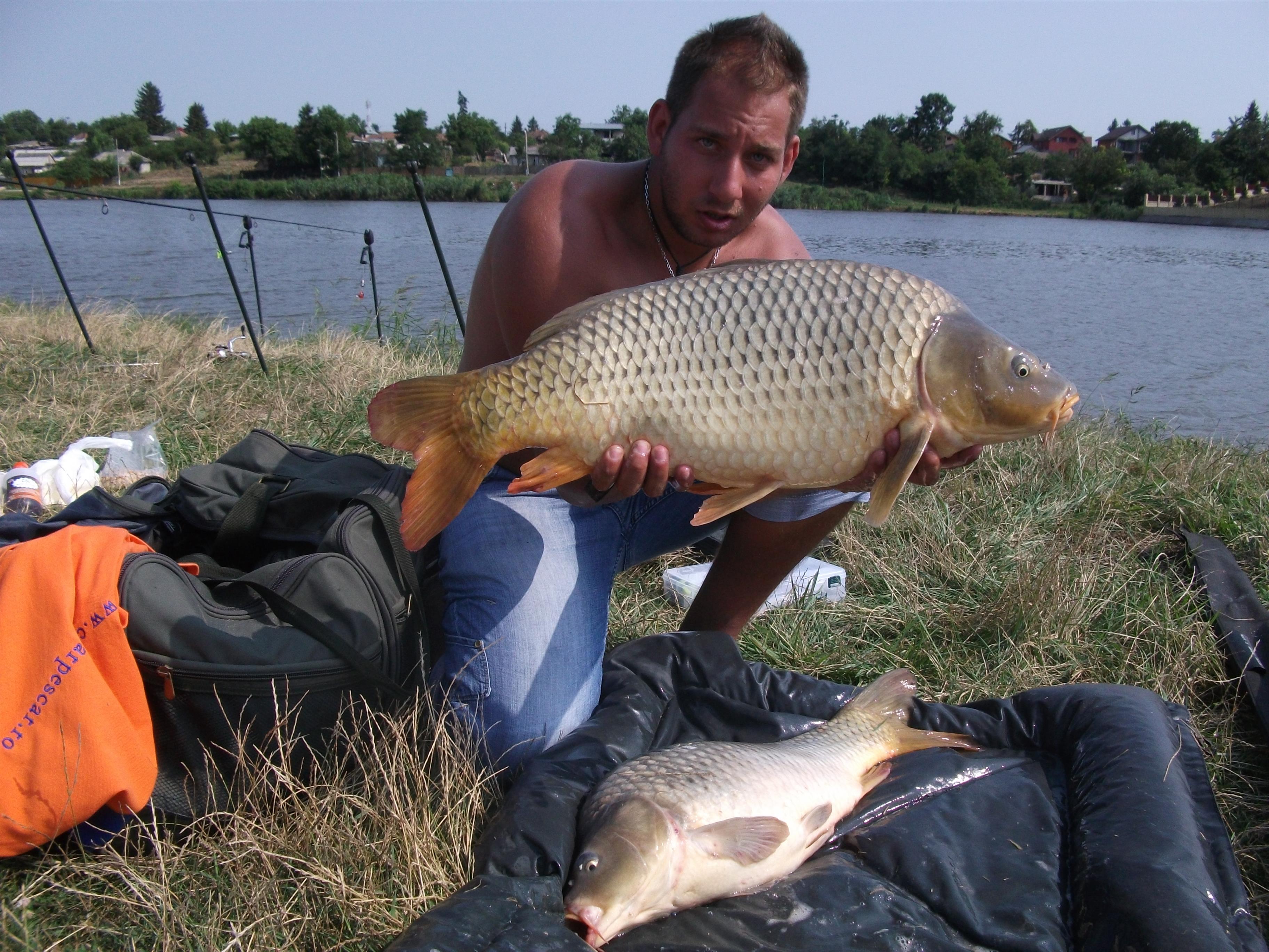 Diverse Partide - DSCF2702.JPG